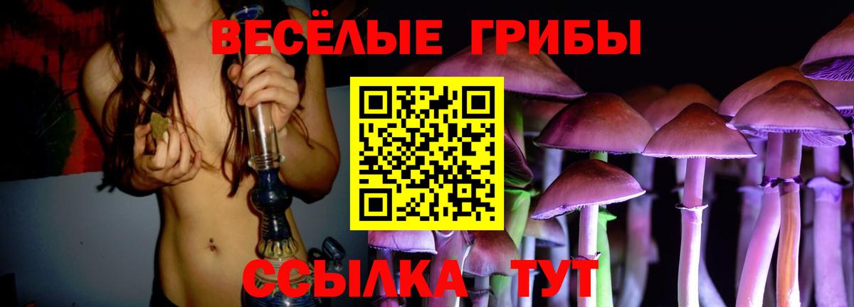 Новый Уренгой  Галлюциногенные грибы мицелий  Вход с VPN  Галлюциногенные грибы Psilocybine cubensis 